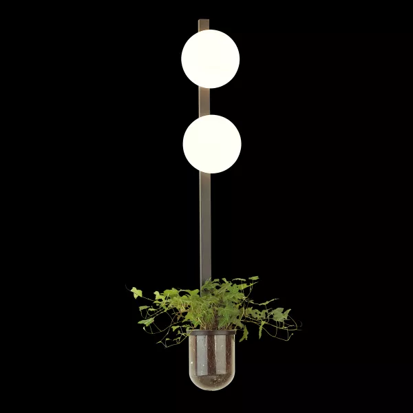 Бра Odeon Light Flower 4681/2WA - фото с прозрачным фоном