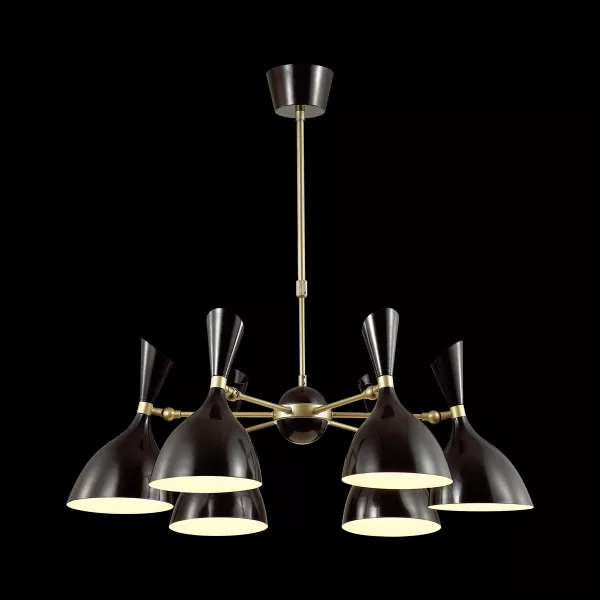 Потолочная люстра Odeon Light Rasto 4665/6 - фото с прозрачным фоном