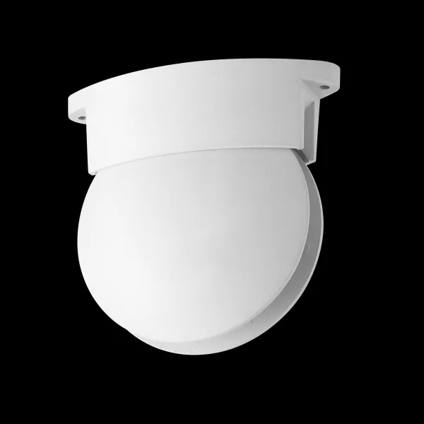 Потолочный уличный светильник Odeon Light Arrow 3916/9CL - фото с прозрачным фоном