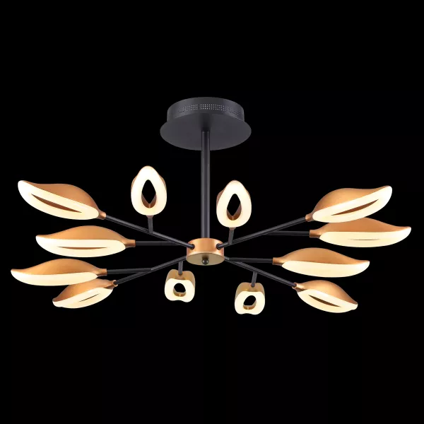 Потолочная люстра Odeon Light Gardena 3903/84CL - фото с прозрачным фоном