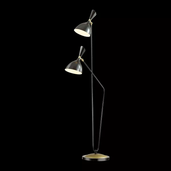 Торшер Odeon Light Rasto 4665/2F - фото с прозрачным фоном