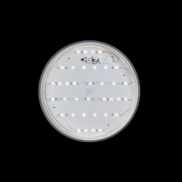 Потолочный светильник Axel 10001/36 Grey - фото дополнительное