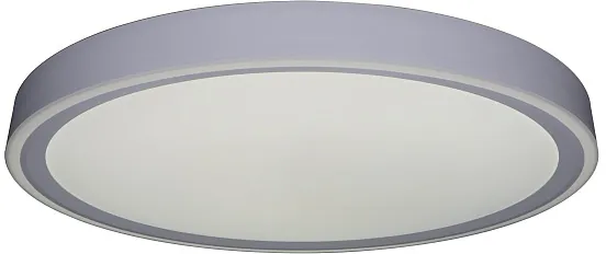 Потолочный светильник Bella ZRS.1200.09 - фото дополнительное