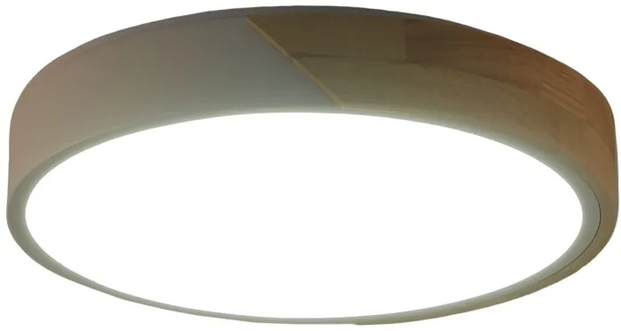 Потолочный светильник Alberro ZRS.01289.72 - фото дополнительное