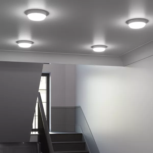 Настенно-потолочный светильник Qplus 141411315 - фото в интерьере