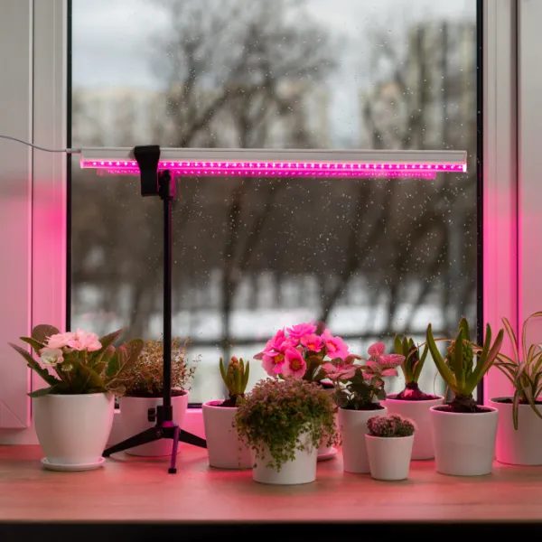 Светильник для растений  56303 7 - фото в интерьере