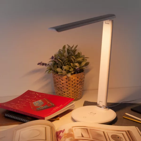 Офисная настольная лампа Brava TL90530 - фото в интерьере