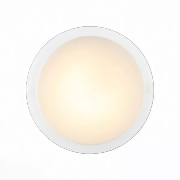 Настенно-потолочный светильник Botone SL466.512.01 - фото
