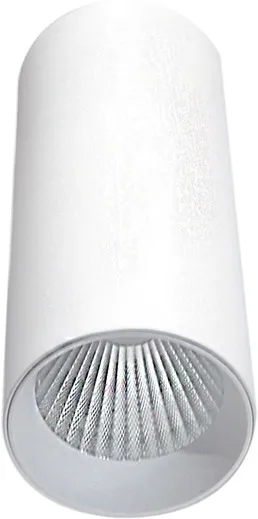 Точечный светильник Rollo DL18895R15W1W - фото