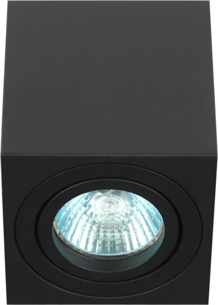 Точечный светильник  OL22 BK - фото