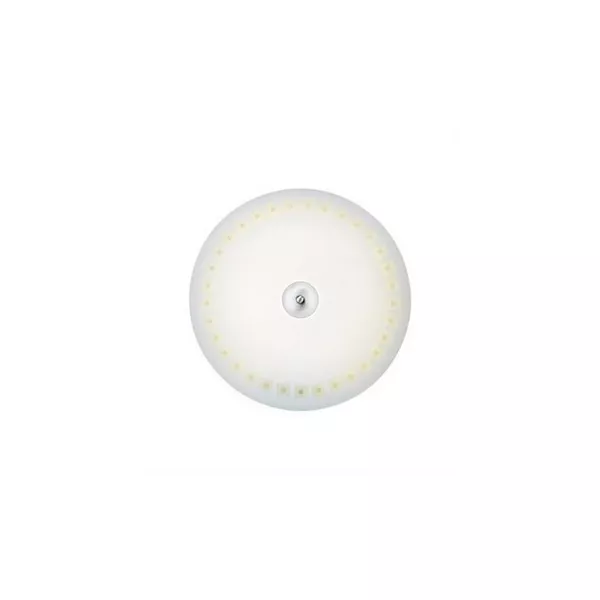 Настенно-потолочный светильник Adria 106411 - фото
