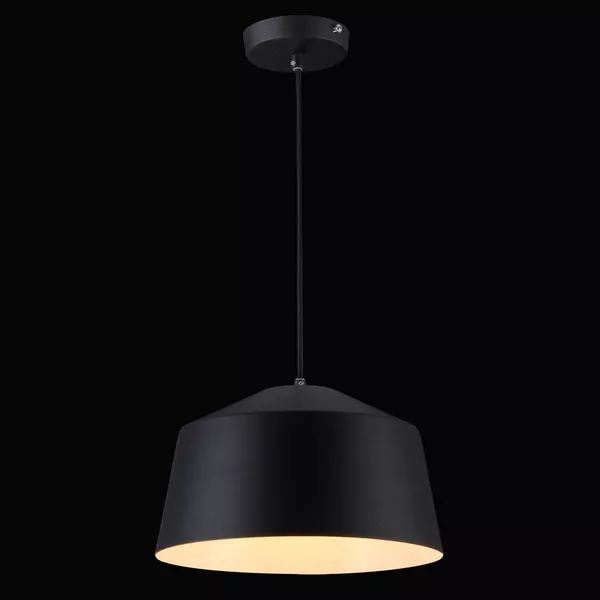Подвесной светильник Minimal Art MINIMAL ART 77003A-1P BLACK - фото