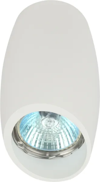 Точечный светильник  OL20 WH - фото