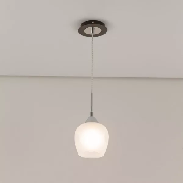 Подвесной светильник Сюзи CL171114 - фото