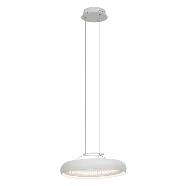Светильник потолочный с подвесом "Ring" 1x16W, мет./пластик, 230V,LED, белый - фото