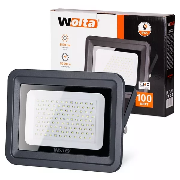 Прожектор уличный WFL WFL-100W/06 - фото