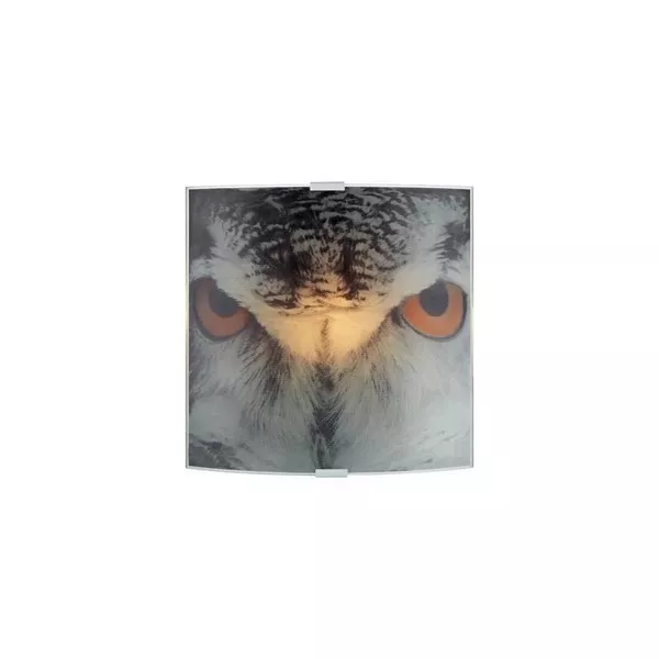 Настенный светильник Owl 105242 - фото