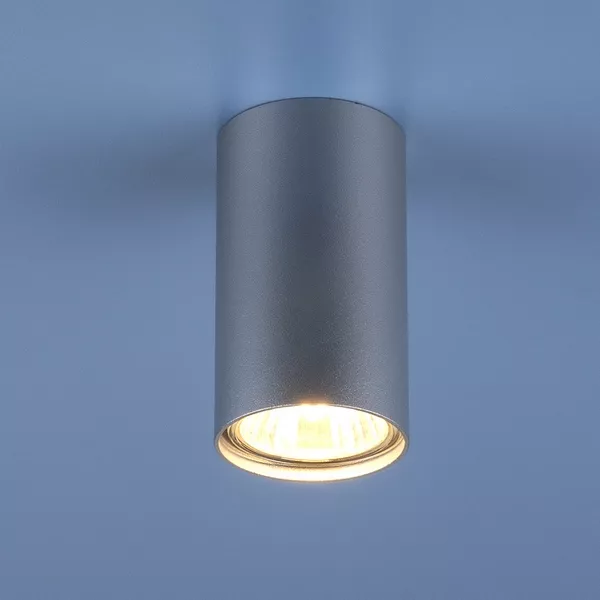Точечный светильник  1081 GU10 SL серебро (5257) - фото