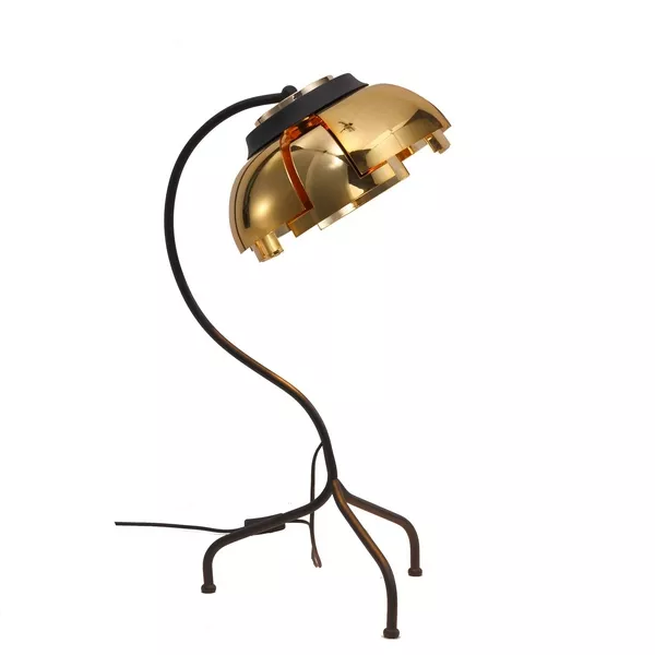 Интерьерная настольная лампа Loto SL817.424.01 - фото