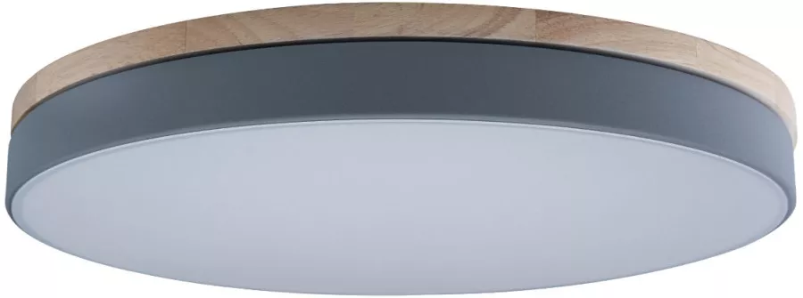 Потолочный светильник Axel 10001/36 Grey - фото