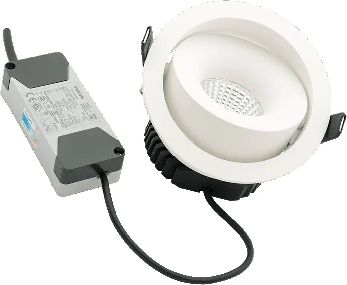 Точечный светильник COMBO DL-FS-1006-60-W-12-WW - фото