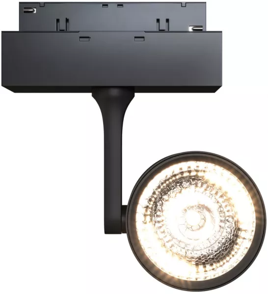 Трековый светильник Track Lamps TR024-2-10B4K - фото