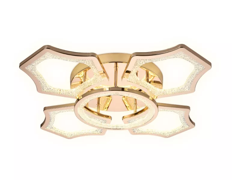 collection image