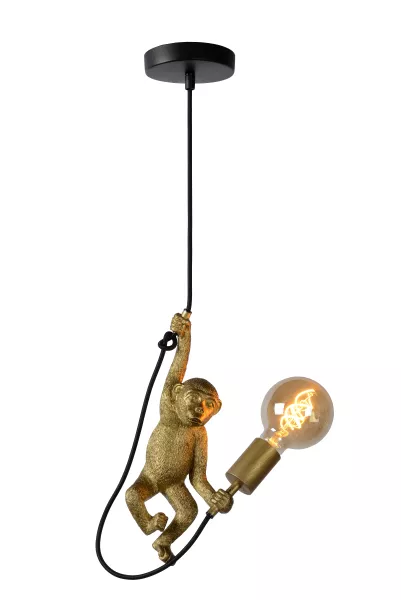Подвесной светильник Extravaganza Chimp 10402/01/30 - фото