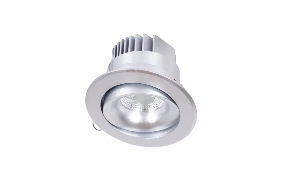 Встраиваемый светильник Donolux Dl184 DL18465/01WW-Silver R - фото