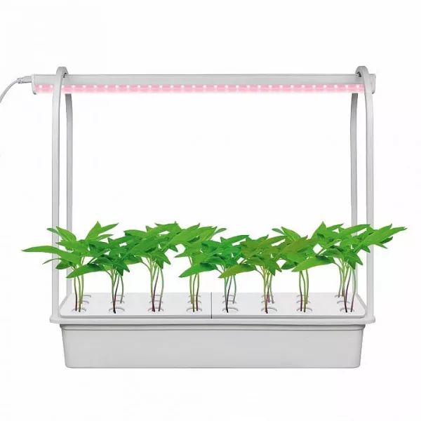 Настольная лампа для растений  ULT-P44D-10W/SPLE IP20 AQUA SIMPLE WHITE - фото