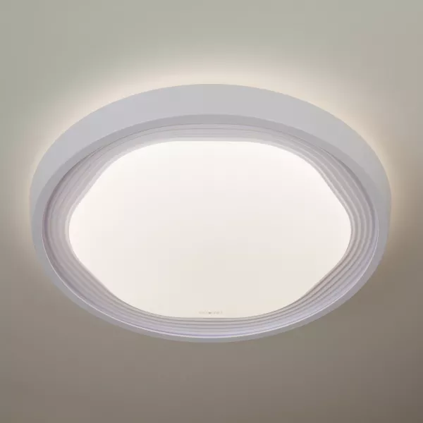 Потолочная люстра светодиодная с пультом, ночным режимом, регулировкой цветовой температуры и яркости 40005/1 Eurosvet Range LED белый - фото