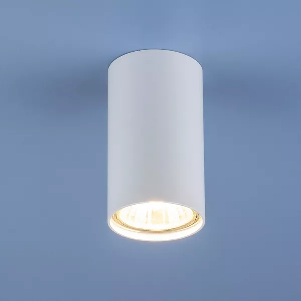 Точечный светильник  1081 GU10 WH белый (5255) - фото
