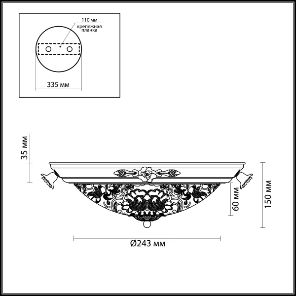 Настенно-потолочный светильник Odeon Light Bone 2692/2C - фото схема
