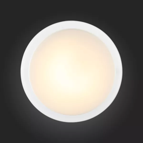 Настенно-потолочный светильник Botone SL466.512.01 - фото схема