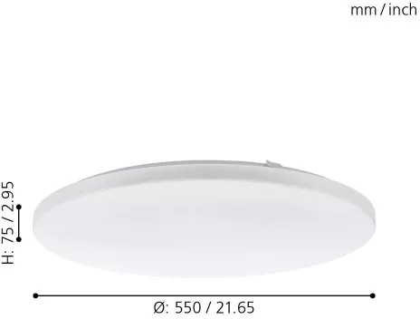 Настенно-потолочный светильник Frania 98446 - фото схема