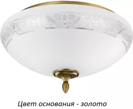 Потолочный светильник Decor DEC-PLM-3(Z) купить в Москве