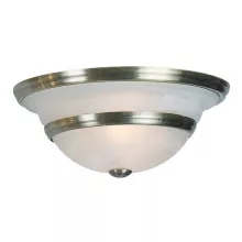 Потолочный светильник Toledo 6895-2 купить в Москве