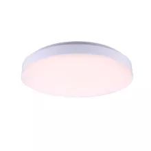 Globo 41805 Влагозащищенный настенно-потолочный светильник ,ванная