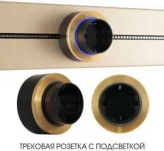 Трековая розетка Am-track-sockets-39 397952TS/ES Gold купить в Москве