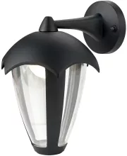 Arte Lamp A1661AL-1BK Настенный фонарь уличный 