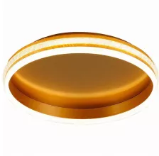 Потолочный светильник Shinning ring 41694 купить в Москве