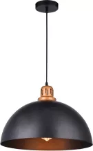 Arte Lamp A4249SP-1BK Подвесной светильник ,кабинет,гостиная,кухня,прихожая,спальня