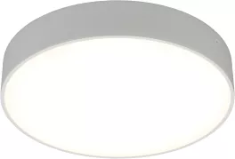 Потолочный светильник Evon APL.0114.09.24 купить в Москве