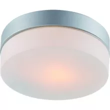 Arte Lamp A3211PL-1SI Влагозащищенный потолочный светильник ,ванная