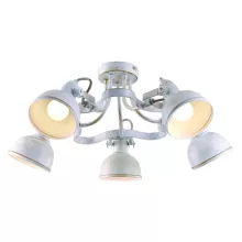 Arte Lamp A5216PL-5WG Потолочная люстра ,кабинет,гостиная,кухня,спальня