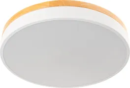 Настенно-потолочный светильник Snello 51623 5 купить в Москве