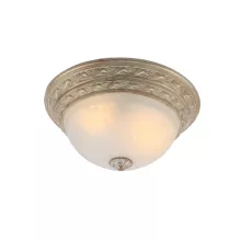Arte Lamp A8013PL-2WA Потолочный светильник ,кабинет,коридор,кухня,прихожая