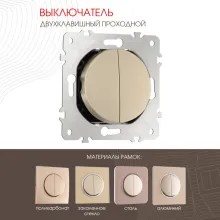 Выключатель am-202 202.32-2.shampan купить в Москве