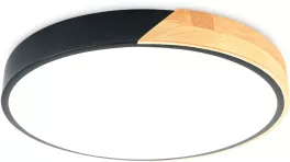 Ambrella FZ1305 Потолочный светильник 