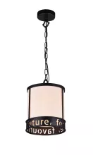 Favourite 1501-1P Подвесной светильник ,кафе,гостиная,кухня